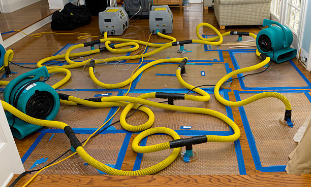 Professional Flood Damage Restoration technician working in Lamar, CO
